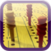 iCribbageBoard - The Premier Cribbage Board